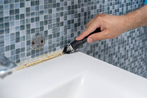 Best Attic Mold Removal  in North Wales, PA